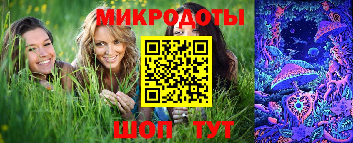 Саратов  Галлюциногенные грибы ЛСД  Вход с VPN  Псилоцибиновые грибы Psilocybe 